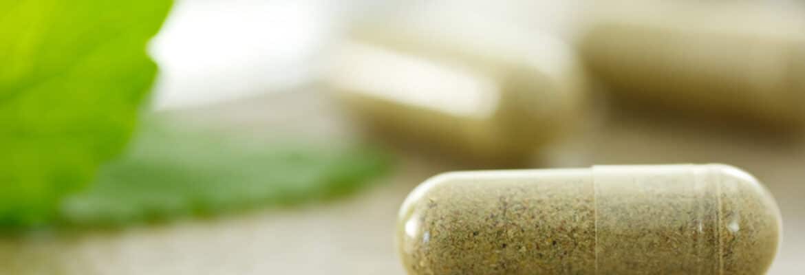 Herbal Diet Supplements