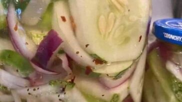 Pickled Cucumber Summer Salad
