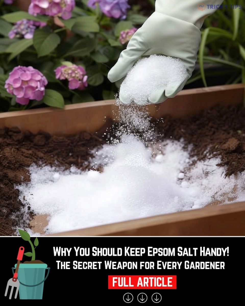 Discover why Epsom salt is a must-have for every gardener. From boosting plant growth to deterring pests, learn how to use this magic mineral in your garden.

